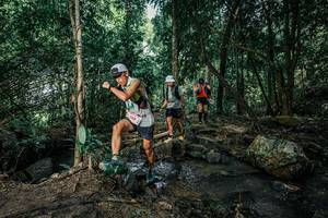 BIB: 
                            <button type="button" onclick="openModal(25746896)" class="btn btn-primary btn-sm float-right btn-popup" data-toggle="modal" data-target=".modal-high-quality">
                        <i class="fas fa-shopping-cart"></i> Add to Cart
                    </button>
                                            <button type="button" onclick="isThisMe(25746896, true)" class="btn btn-success btn-sm float-right btn-popup btn-isme hidden" data-toggle="tooltip" data-placement="bottom" title="นี่คือรูปของคุณใช่ไหม คลิกที่นี่เพื่อเอาเข้าอัลบั้ม">
                        <i class="fas fa-plus"></i> Add to album
                    </button>
                    <button type="button" onclick="isThisMe(25746896, false)" class="btn btn-warning btn-sm float-right btn-popup btn-isnotme hidden">
                        <i class="fas fa-ban"></i> Remove from album
                    </button>